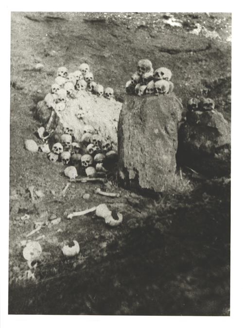 Schädel und Knochen als Überreste des Massensterbens - (Ref-Nr. img062)