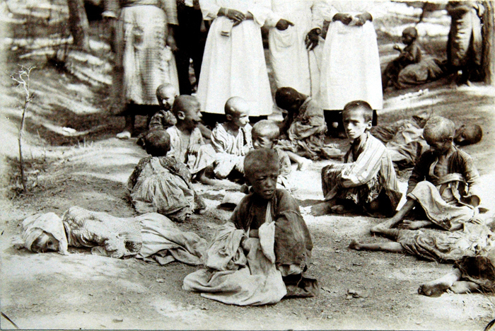 Verhungernd, krank und schmutzig - (Ref-Nr. img067)